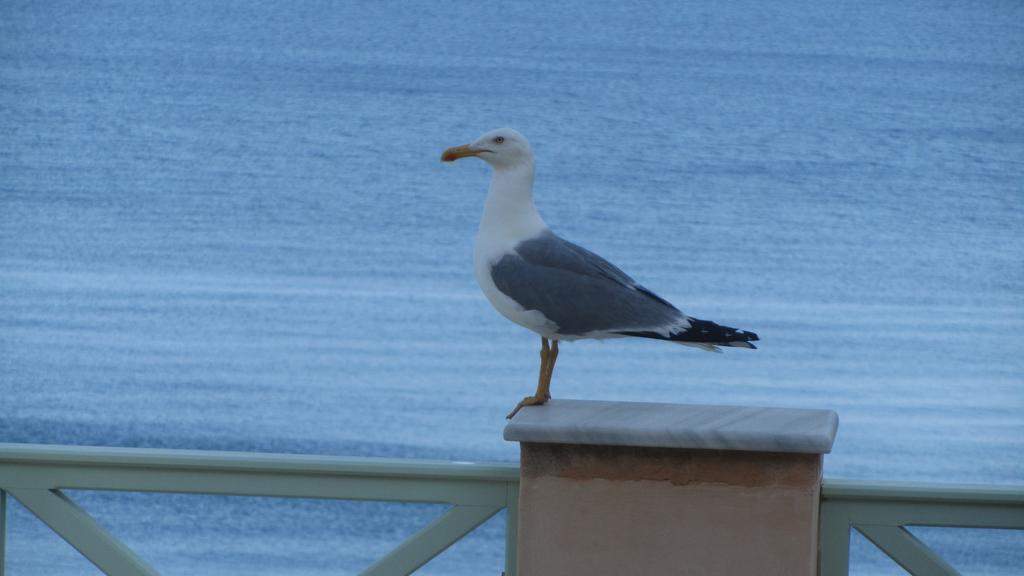 Apollonos Seafront Apartment Ermoupoli Luaran gambar